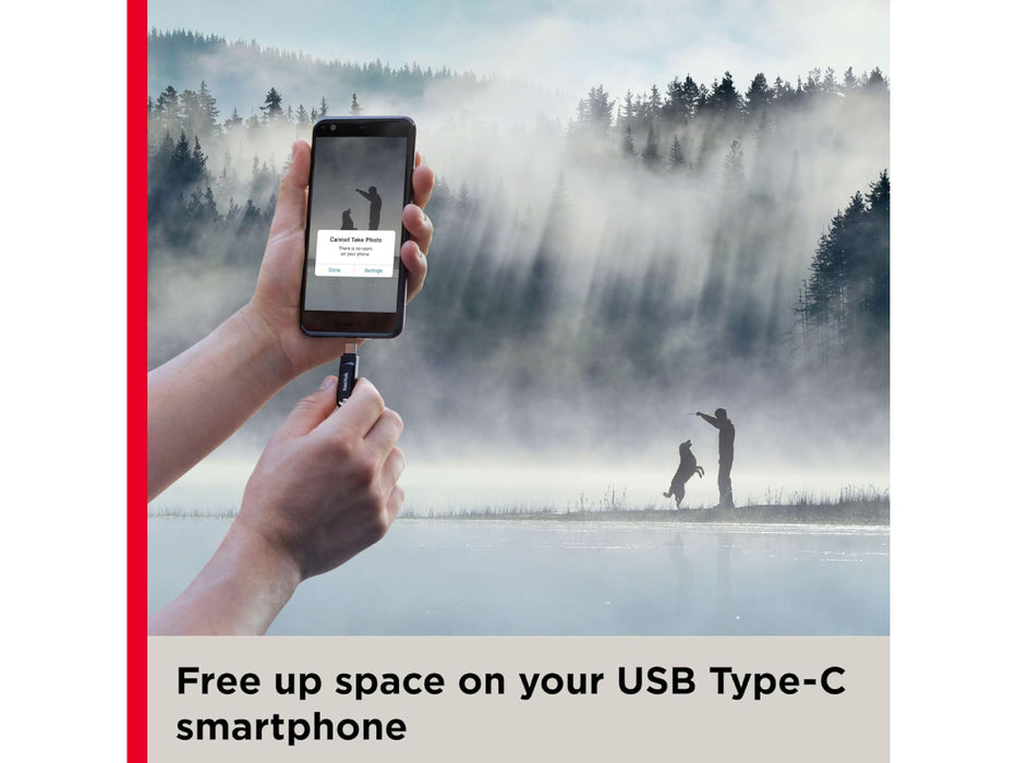 Sandisk Flash Disk 128GB Ultra Dual Drive Go USB - C Type