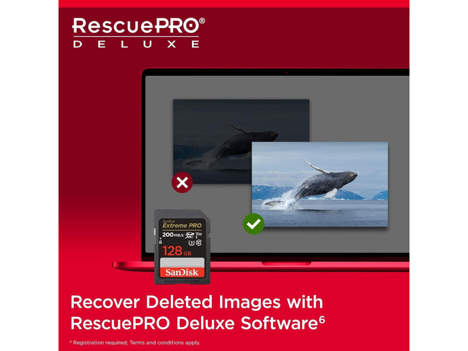 SanDisk 256GB Extreme PRO SDXC card + RescuePRO Deluxe (SDSDXXD 256G GN4IN)